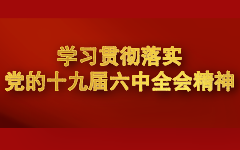 学习贯彻落实党的十九届六中全会精神