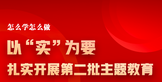 以“实”为要，扎实开展第二批主题教育